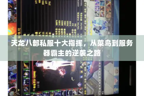 天龙八部私服十大指挥,从菜鸟到服务器霸主的逆袭之路 天龙八部私服十大指挥,从菜鸟到服务器霸主的逆袭之路