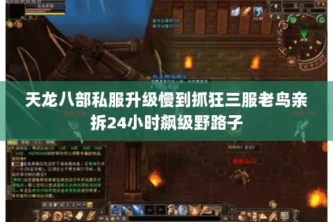 天龙八部私服升级慢到抓狂三服老鸟亲拆24小时飙级野路子