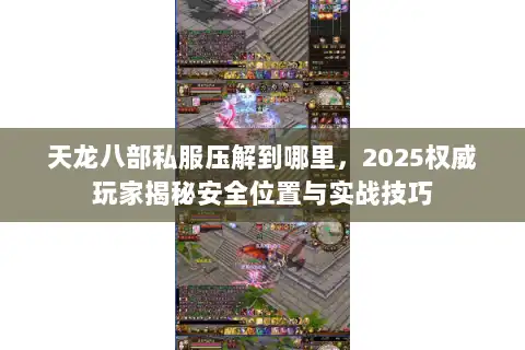 天龙八部私服压解到哪里，2025权威玩家揭秘安全位置与实战技巧