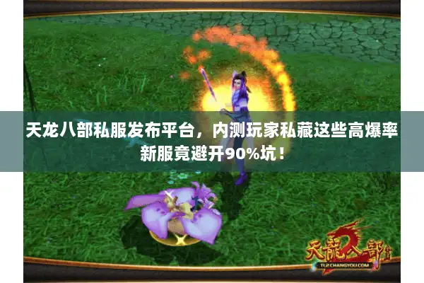 天龙八部私服发布平台，内测玩家私藏这些高爆率新服竟避开90%坑！