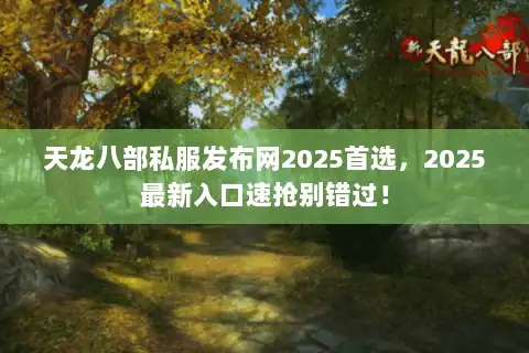 天龙八部私服发布网2025首选，2025最新入口速抢别错过！