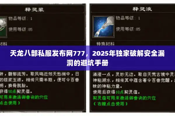 天龙八部私服发布网777，2025年独家破解安全漏洞的避坑手册