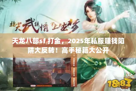 天龙八部sf 打金，2025年私服赚钱陷阱大反转！高手秘籍大公开
