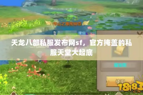 天龙八部私服发布网sf，官方掩盖的私服天堂大起底