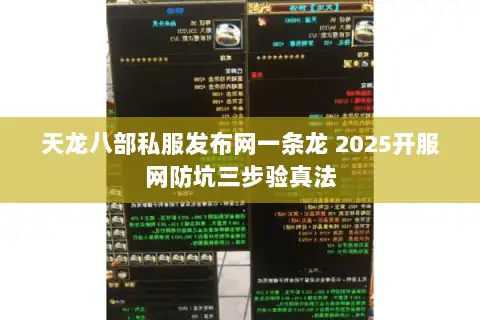 天龙八部私服发布网一条龙 2025开服网防坑三步验真法