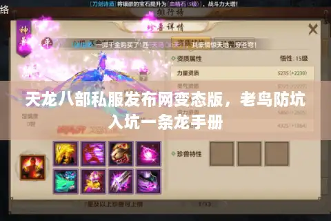 天龙八部私服发布网变态版，老鸟防坑入坑一条龙手册