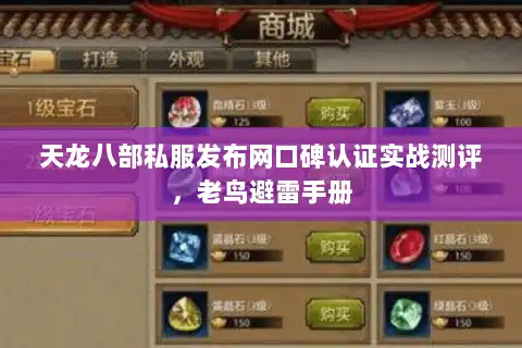 天龙八部私服发布网口碑认证实战测评，老鸟避雷手册