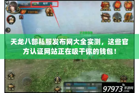 天龙八部私服发布网大全实测，这些官方认证网站正在吸干你的钱包！