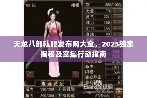 天龙八部私服发布网大全，2025独家揭秘及实操行动指南
