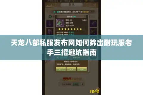 天龙八部私服发布网如何筛出耐玩服老手三招避坑指南