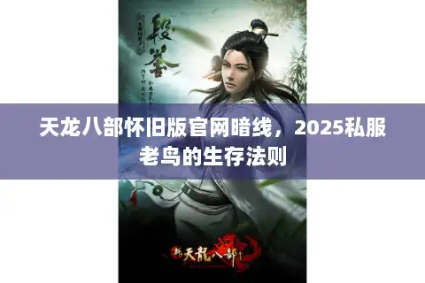 天龙八部怀旧版官网暗线，2025私服老鸟的生存法则