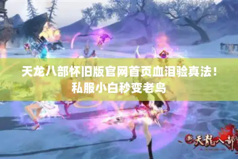 天龙八部怀旧版官网首页血泪验真法!私服小白秒变老鸟 天龙八部怀旧版官网首页血泪验真法!私服小白秒变老鸟