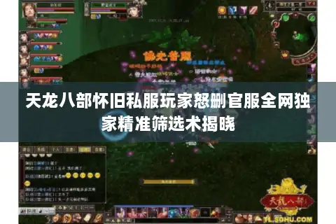 天龙八部怀旧私服玩家怒删官服全网独家精准筛选术揭晓