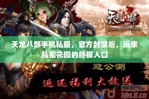 天龙八部手机私服，官方封禁后，玩家私密花园的终极入口