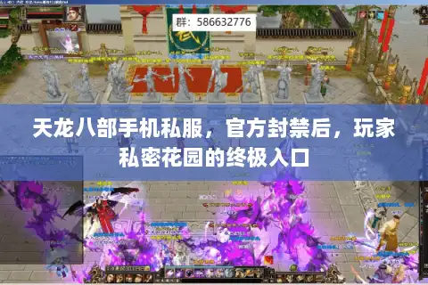 天龙八部手机私服，官方封禁后，玩家私密花园的终极入口