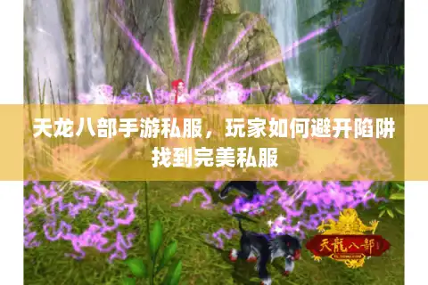 天龙八部手游私服，玩家如何避开陷阱找到完美私服