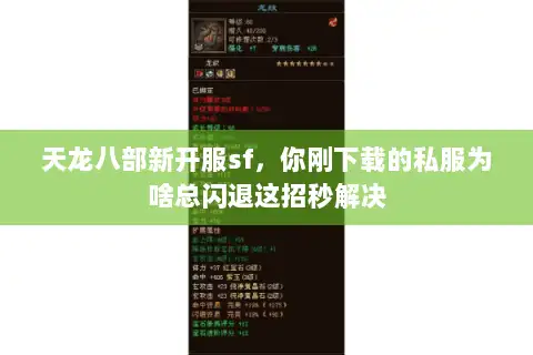 天龙八部新开服sf，你刚下载的私服为啥总闪退这招秒解决