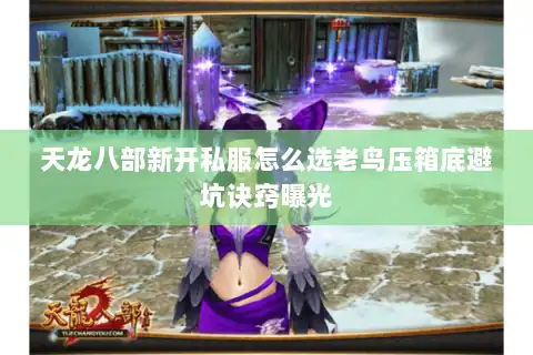 天龙八部新开私服怎么选老鸟压箱底避坑诀窍曝光