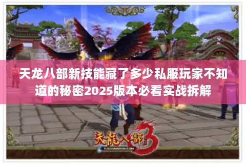 天龙八部新技能藏了多少私服玩家不知道的秘密2025版本必看实战拆解