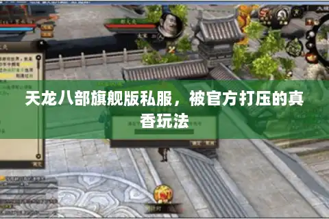 天龙八部旗舰版私服，被官方打压的真香玩法