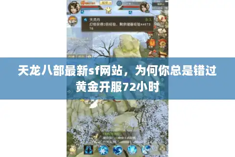 天龙八部最新sf网站，为何你总是错过黄金开服72小时