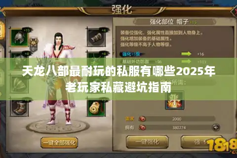 天龙八部最耐玩的私服有哪些2025年老玩家私藏避坑指南