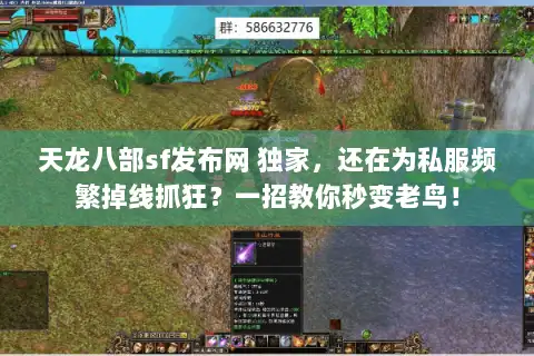 天龙八部sf发布网 独家，还在为私服频繁掉线抓狂？一招教你秒变老鸟！