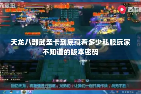 天龙八部武圣卡到底藏着多少私服玩家不知道的版本密码