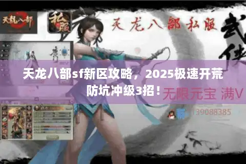 天龙八部sf新区攻略，2025极速开荒防坑冲级3招！