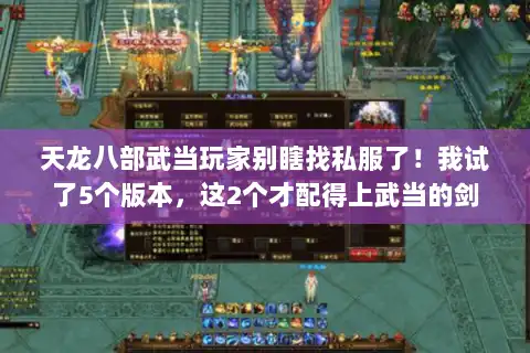 天龙八部武当玩家别瞎找私服了！我试了5个版本，这2个才配得上武当的剑