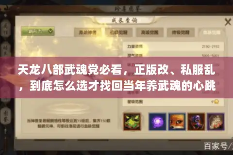天龙八部武魂党必看，正版改、私服乱，到底怎么选才找回当年养武魂的心跳