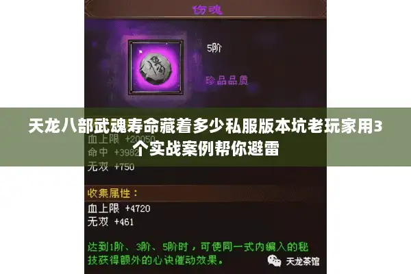 天龙八部武魂寿命藏着多少私服版本坑老玩家用3个实战案例帮你避雷