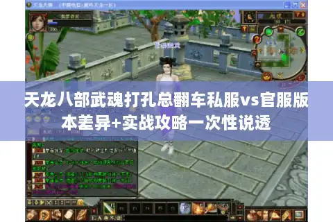天龙八部武魂打孔总翻车私服vs官服版本差异+实战攻略一次性说透