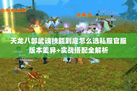 天龙八部武魂技能到底怎么选私服官服版本差异+实战搭配全解析 天龙八部武魂技能到底怎么选私服官服版本差异+实战搭配全解析