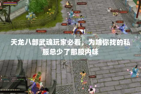 天龙八部武魂玩家必看，为啥你找的私服总少了那股内味