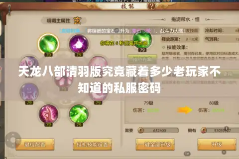 天龙八部清羽版究竟藏着多少老玩家不知道的私服密码