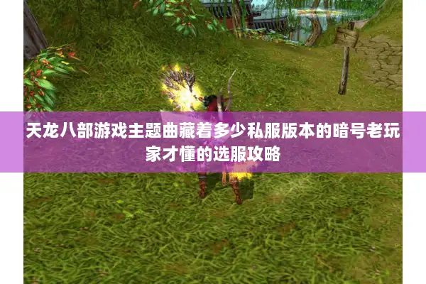 天龙八部游戏主题曲藏着多少私服版本的暗号老玩家才懂的选服攻略