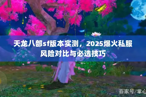 天龙八部sf版本实测，2025爆火私服风险对比与必选技巧