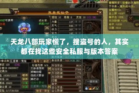 天龙八部玩家慌了，搜盗号的人，其实都在找这些安全私服与版本答案