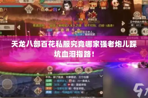 天龙八部百花私服究竟哪家强老炮儿踩坑血泪指路! 天龙八部百花私服究竟哪家强老炮儿踩坑血泪指路!