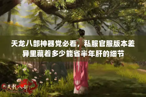 天龙八部神器党必看，私服官服版本差异里藏着多少能省半年肝的细节