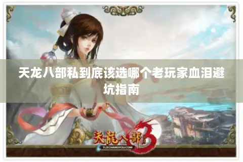 天龙八部私到底该选哪个老玩家血泪避坑指南