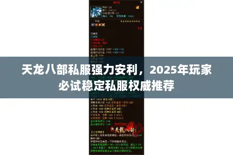 天龙八部私服强力安利，2025年玩家必试稳定私服权威推荐