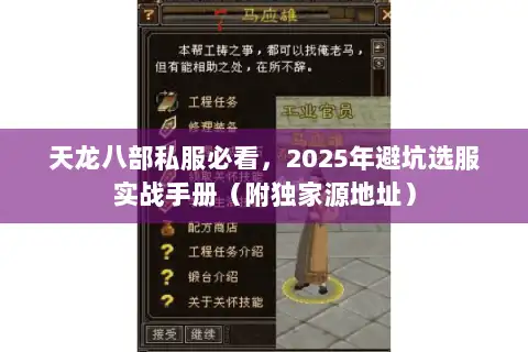 天龙八部私服必看，2025年避坑选服实战手册（附独家源地址）