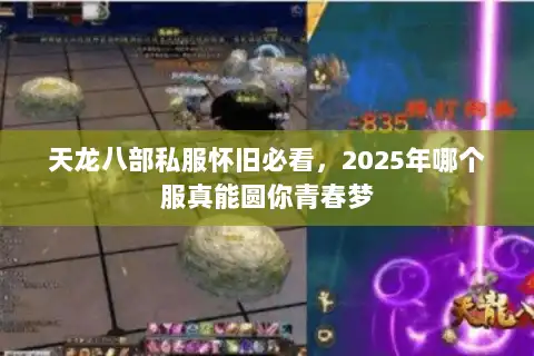 天龙八部私服怀旧必看，2025年哪个服真能圆你青春梦