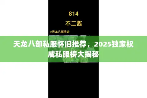 天龙八部私服怀旧推荐，2025独家权威私服榜大揭秘