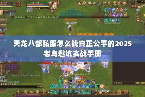 天龙八部私服怎么找真正公平的2025老鸟避坑实战手册 天龙八部私服怎么找真正公平的2025老鸟避坑实战手册