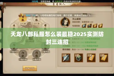 天龙八部私服怎么装最稳2025实测防封三连招