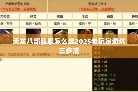 天龙八部私服怎么选2025老玩家避坑三步法