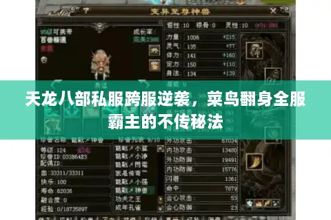 天龙八部私服跨服逆袭，菜鸟翻身全服霸主的不传秘法